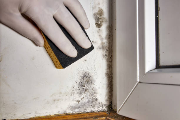 Best Indoor Air Quality Assessment  in Hartford, SD