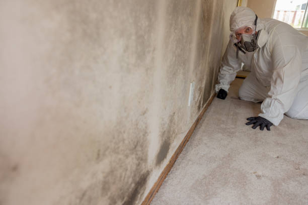 Best Air Quality Testing for Mold Spores  in Hartford, SD