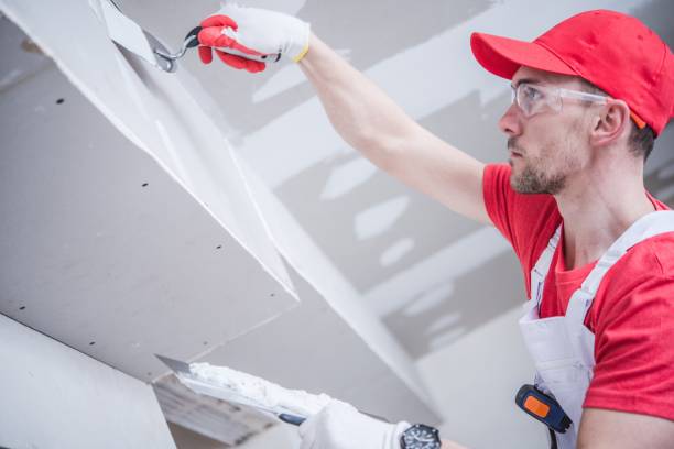 Best Mold Remediation for Healthcare Facilities  in Hartford, SD